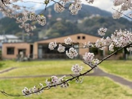 桜越しの建物外観  