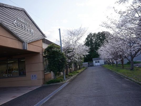 桜並木の外観  