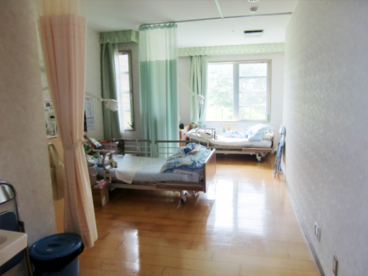 自然光が差し込む居室