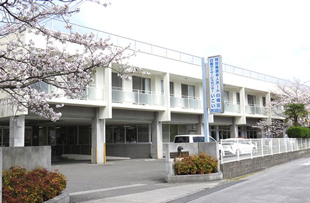 桜咲く建物外観