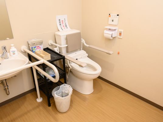 手すり付き清潔なトイレ
