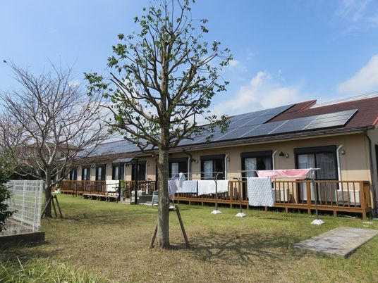 日当たりのよい庭  