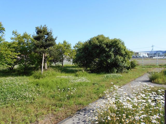 ゆとりのある庭 中庭 開放的な中庭があり、利用者さまへのゆったりとした時間提供が可能です。緑あふれる環境で勤務できます。
