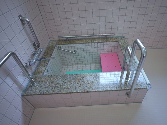 安全な浴室の手すり付き