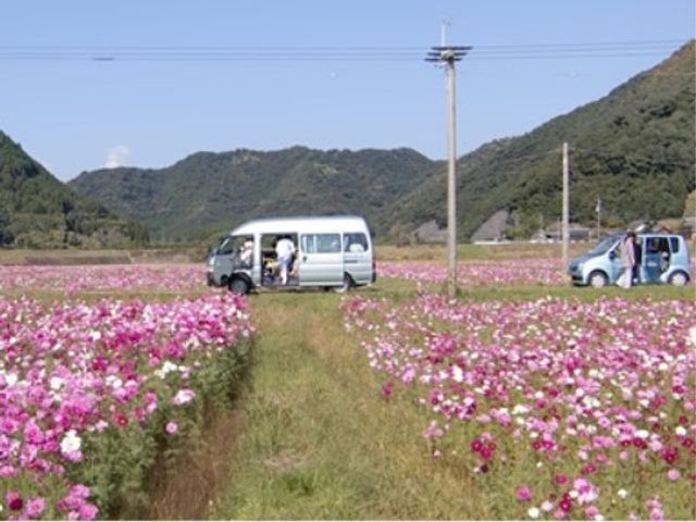 花畑での外出風景 環境 開放的な空間で利用者が外出を楽しんでおり、心地よい日差しを浴びています。