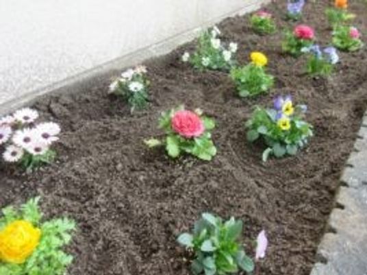 花壇の庭  
