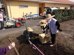庭での作業