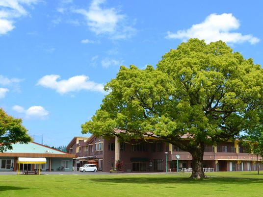 中庭と建物  