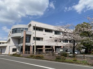 桜と建物の外観  