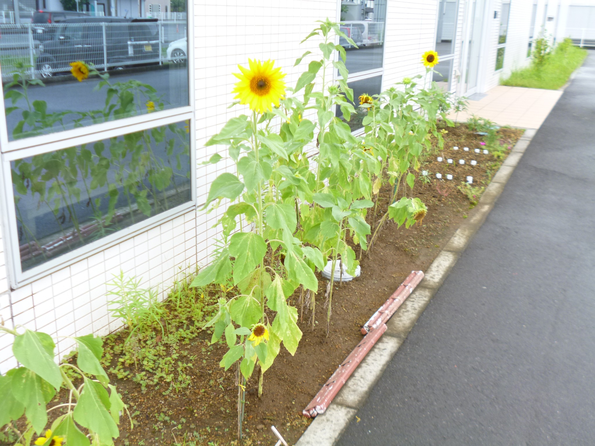 医療法人芳明会通所リハビリテーションあくてぃぶの外観