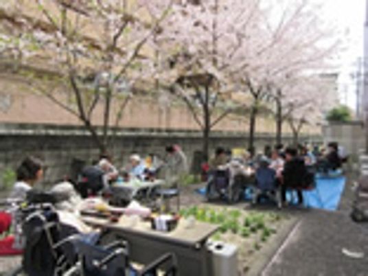 桜並木の下のピクニック