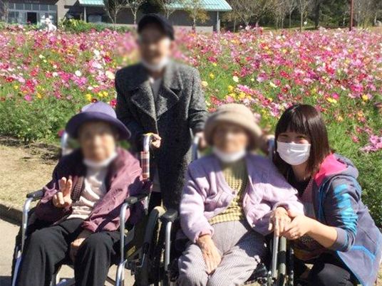 明るい庭の風景