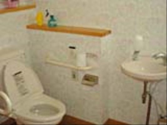 手入れされたトイレ空間