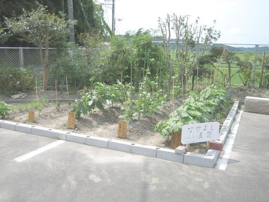 中庭の手入れされた畑