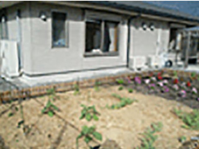 花壇のある庭 庭 季節の花が彩る庭では、利用者の方々が静かに散策を楽しめます。リラックスした空間が広がっています。