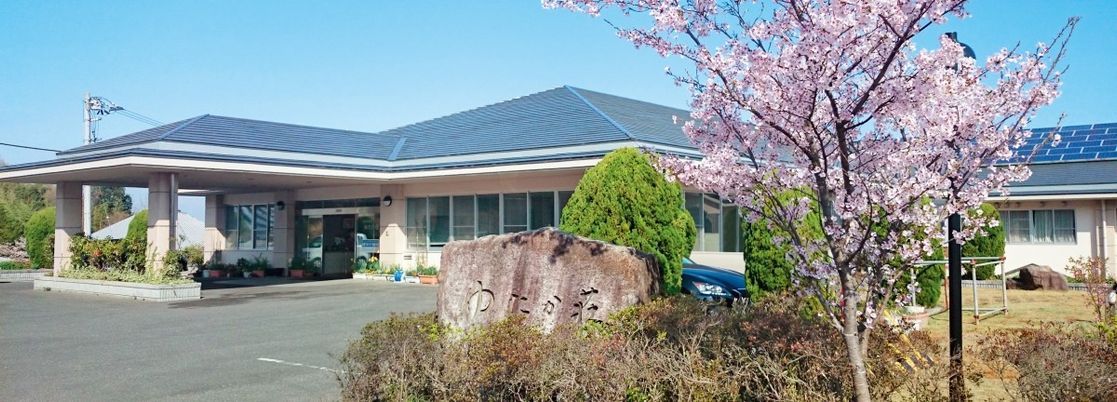 桜のある庭