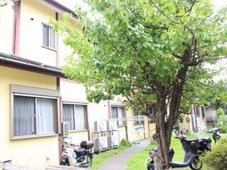 緑豊かな外観
