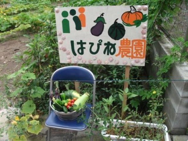 植物と収穫物、はびきの農園 庭 手入れされた中庭では、利用者が農園活動を通じて四季の移ろいを感じながら心身の活動を促されます。カラフルな野菜が健康への意識とやりがいを提供します。