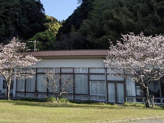 桜のある建物外観  