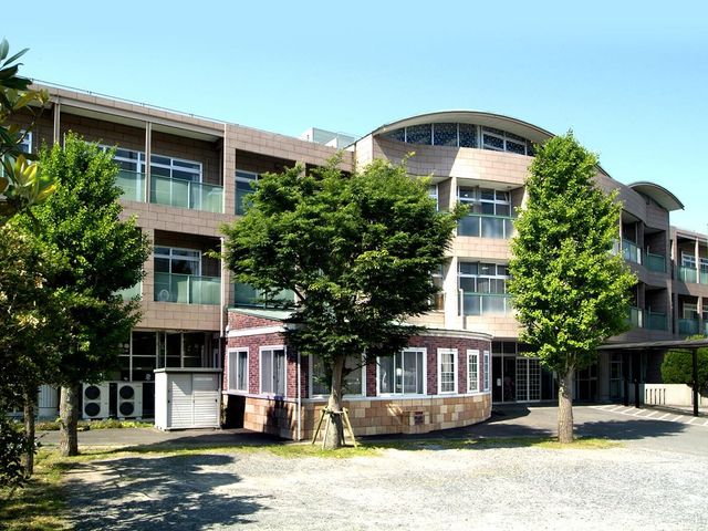 緑豊かな建物外観 外観 緑に囲まれたこの場所は、自然と調和した快適な環境を提供しています。