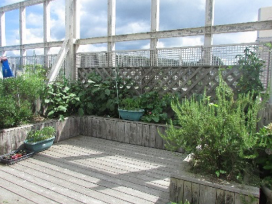 緑の多い空間テラス