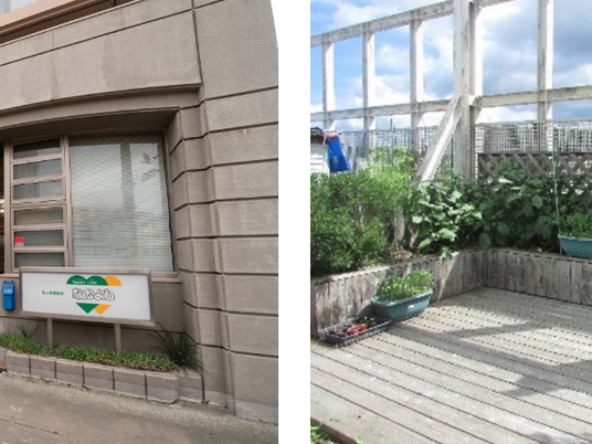 建物外観と屋上庭園  