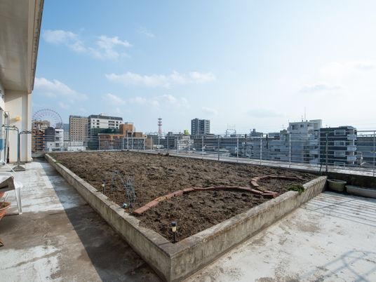 高層から見た庭の風景