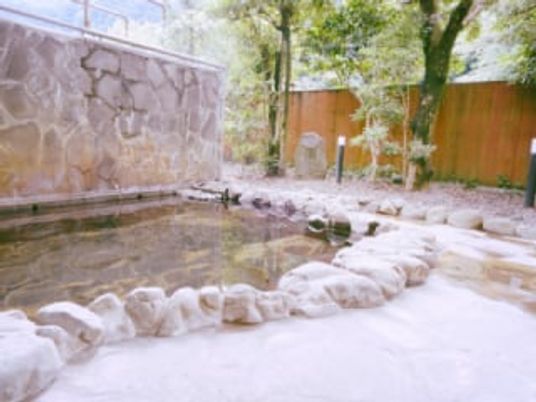 穏やかな屋外の中庭