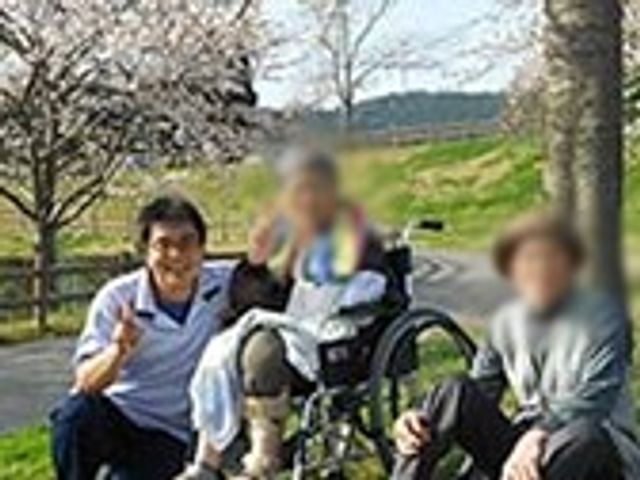 花見を楽しむ人々 庭 車椅子の方も含む数名が、桜の下で穏やかなひとときを過ごしています。