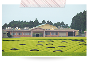 近代的な外観施設