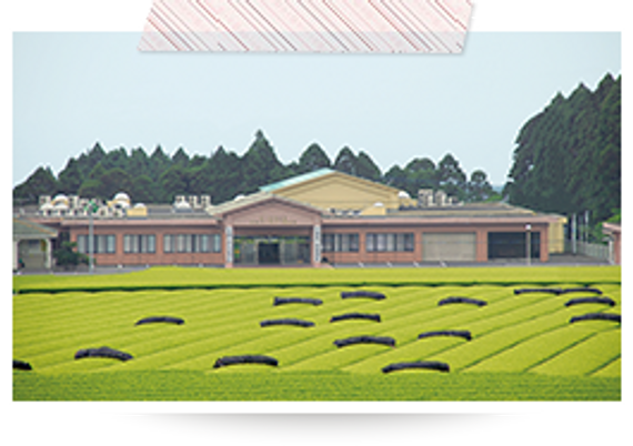 近代的な外観施設