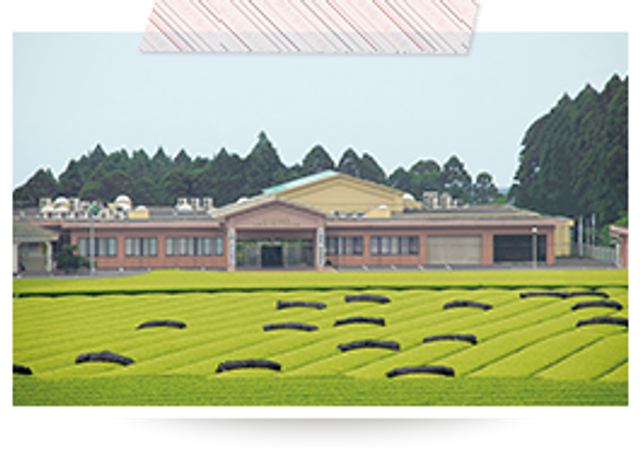 近代的な外観施設