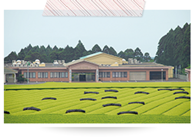 近代的な外観施設