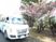 送迎車と桜の木 外観  
