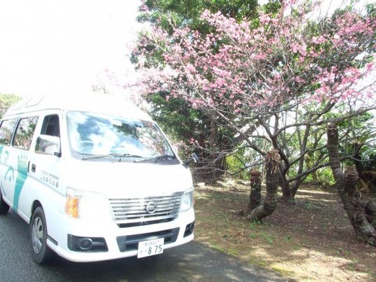 送迎車と桜の木 外観  