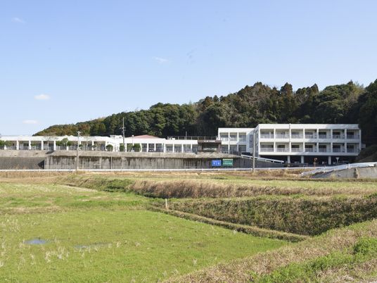 自然に囲まれた外観  