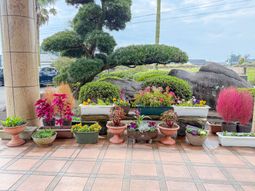 花壇が美しい庭