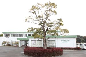 大きな木が特徴的な外観  