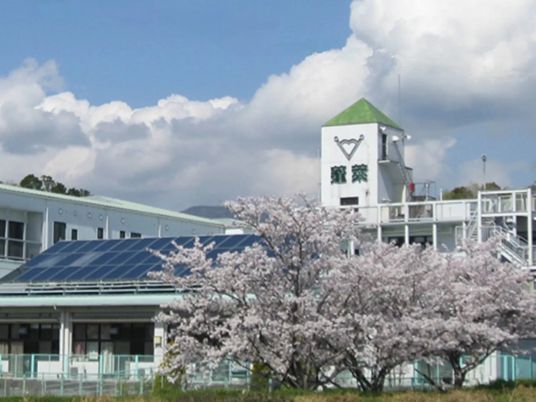 桜と建物の外観  
