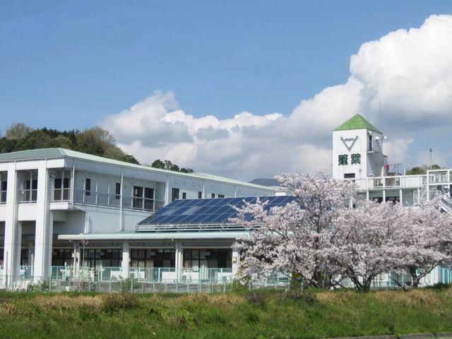 桜の咲く外観 外観 春の日差しが心地よい日、桜に囲まれた建物です。のびのびとした環境で働くことができます。