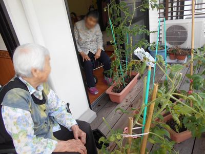 植物があるテラス