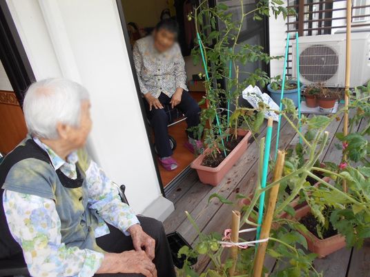 植物があるテラス