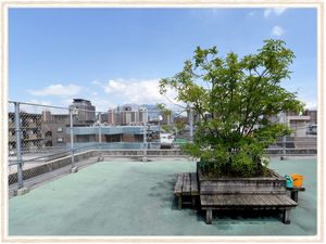 屋上の休憩スペース
