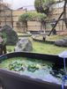デイサービス 道しるべ 介護職・ヘルパー（シフト制）（パート・アルバイト）