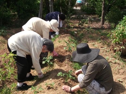 園芸活動する利用者さん