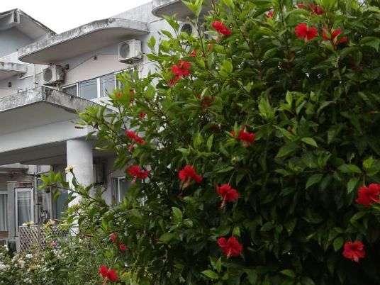 建物前の植栽と花  