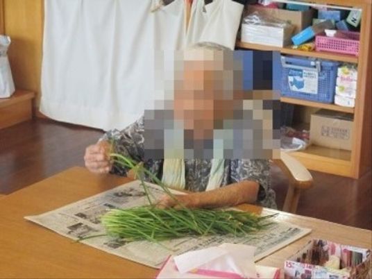 野菜の手入れをする人