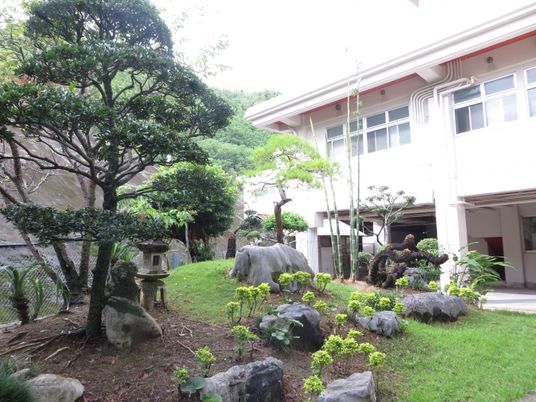 緑豊かな中庭風景