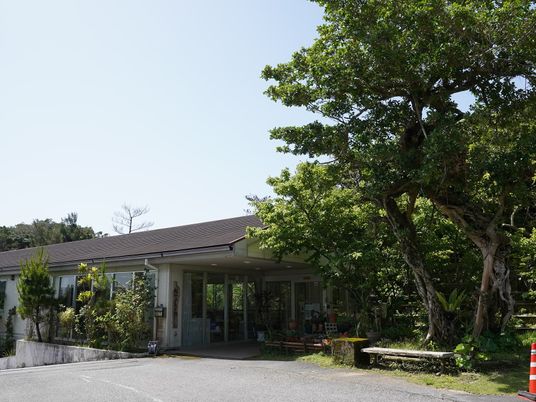 緑に囲まれた外観  