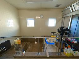 窓から光が差し込む浴室  